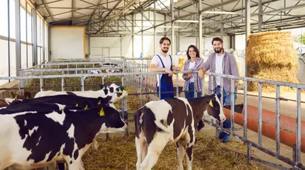 Animal Health